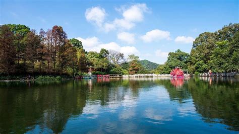 白雲湖搬遷哪些村，討論的角度與影響